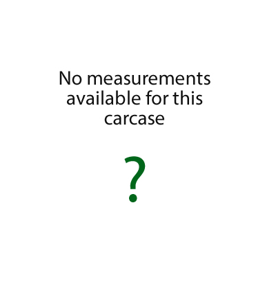 Technical image